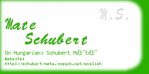 mate schubert business card